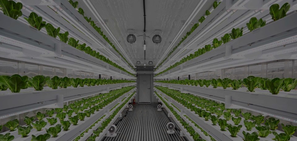 이수시스템 SmartRoot & MGS